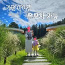 창목장 | 가평 아이랑 가볼만한 곳 | 가평양떼목장 후기 유모차 가능