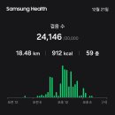 제주도 오마카세...오메가 출현..3대의 덕이 숲감에 ....26년도의 최대의 행운이 여기에 있습니다.. 이미지