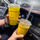 맛집) 가까이서 느끼는 제주의 향기! 융건릉 대형 베이커리 카페 정보•주차•메뉴•음료 및 빵 후기...