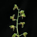 상미초등학교 이미지