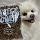 인섹트 파워 이미지