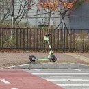 정식행정사사무소 이미지