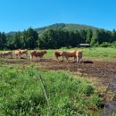 대곡목장 이미지