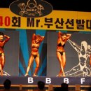 미스터부