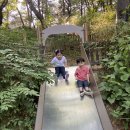 오금공원 유아숲체험원 이미지