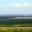 카페두목