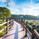 양산팔경 금강둘레길 이미지