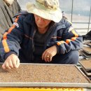 동처농장 이미지