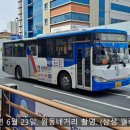 동신 행정사무소 네이버블로그