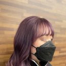 살롱레녹스 이미지
