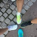 순환로3 이미지