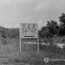 대성동입구 3 이미지