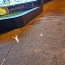 썬크루즈 호텔&리조트 이미지