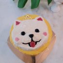 펫푸드스쿨 이미지