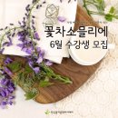 꽃차소믈리에(2급) 이미지