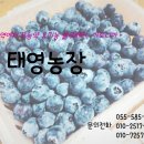 태영농장 이미지