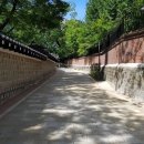 돌담길 이미지