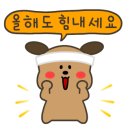 꿀벌과일