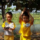 영등원광어린이집 이미지