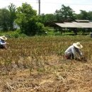 수촌농장 이미지