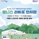 노랭보랭 이미지