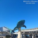 행정사 푸른사무소 이미지