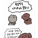 몬모니 Daum카페