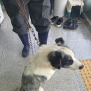 장천로 이미지