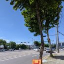 크레파스 1 이미지