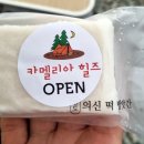진도카멜리아힐즈오토캠핑장 이미지