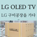 화질 끝판왕 LG 올레드 TV가 태어나는 곳! 구미공장을 가다