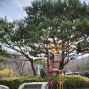 타이어월드 화산점 | 경기 광명동굴 입장권할인 아이체험종류 방문후기