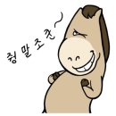 에이스승마랜드 이미지