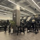 퇴근후 코어요가 이미지