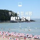 송정 서핑 서프홀릭에서 처음 서핑 강습받은 후기