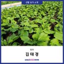 김태경 농장 이미지