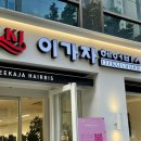 레인헤어비스