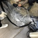 듀랑고쉘터 우레탄창 작업후기