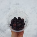 다물농장 이미지