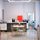 고양이 미용 미오 이미지