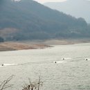 동강당구장 Daum카페