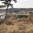 화성토지공인중개사사무소 이미지