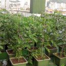 시흥1동주민센터 이미지