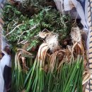 경운농장 이미지