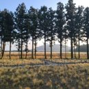 입동목장 이미지