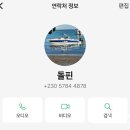 와이엠씨에이다산아기스포츠단 | ღH30. 모리셔스 디나로빈 프라이빗 돌핀스윔 | 예약 방법 | 가격 | 솔직 후기