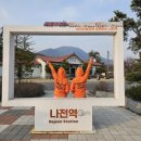 정선 아리랑 열차 타고 나전역 정선 카페 힐링하며 여행하기