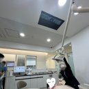 봄봄어린이치과의원 이미지