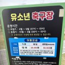 황산공원 축구장 이미지