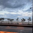 영일정비 | 포항 송도 카페 추천, 스타벅스 오션뷰 2층 명당 주차 정보까지 완벽 정리